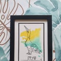  Oiseau Fou de bassan 