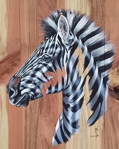 Zebre1